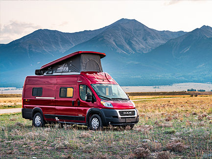 Van Road Bear